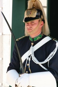 <p>Gardes du palais de Belém.</p>