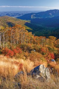 Shenandoah National Park.