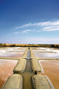 <p>Marais salants de Guérande</p>
