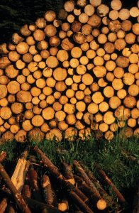 Stère de bois