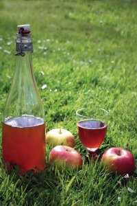 <p>Cidre fermier.</p>