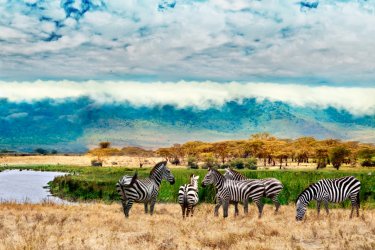 Autour du cratère de NGorongoro. - chuvipro