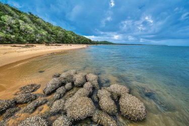 Plage sur Ilha Da Inhaca. - wildacad