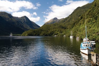 Embarcadère du fiord de Doubtful Sound. - Sébastien Closs - Fotolia
