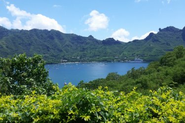 Point de vue sur la baie de Taiohae - Laurent BOSCHERO