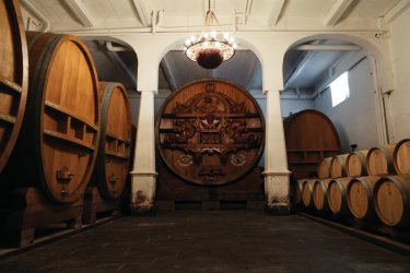 Les caves chez
