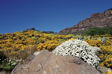 Route de San Bartolomé. - Author's Image
