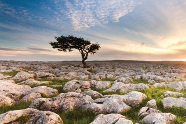 Yorshire Dales National Park. - Neetanic - iStockphoto