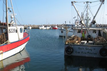 Port de Cap-aux-Meules, Îles de la Madeleine. - Valérie FORTIER