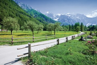 Logarska Dolina. - mbbirdy - iStockphoto.com