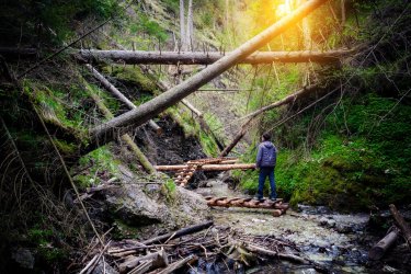 Parc national du paradis slovaque. - Nickolay Khoroshkov