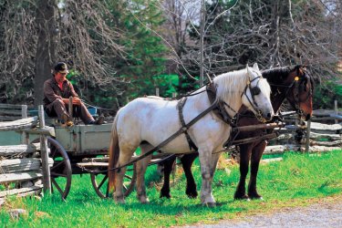 Calèche à Upper Canada Village. - Tom Pepeira - Iconotec