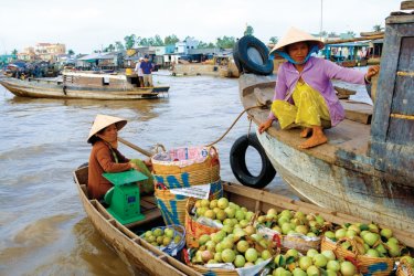 Marché flottant de Cai Rang. - Author's Image