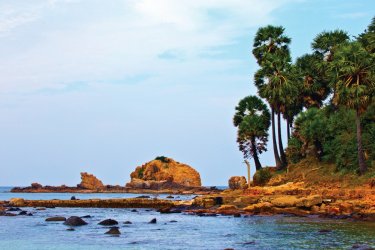 Bord de mer à Trincomalee. - Thilak Piyadigama - iStockphoto