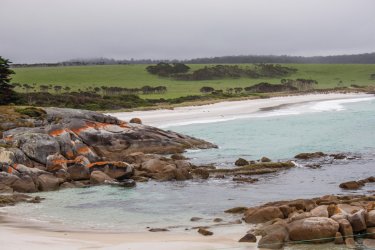 Bay of Fires. - Ludovic COSTE