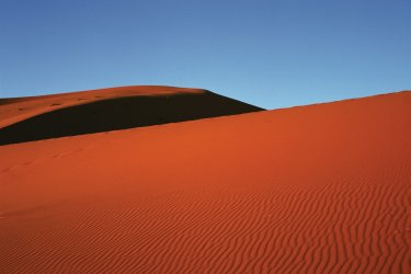 Dune de sable de Merzouga. - Author's Image