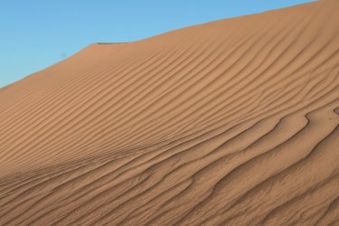 Lumière sur le sable des dunes de M'Hamid. - Stéphan SZEREMETA
