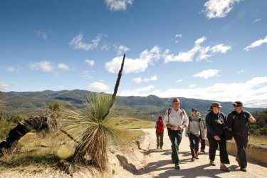 Tidbinbilla Nature Reserve. - Australian Capital Tourism / Chris Holly