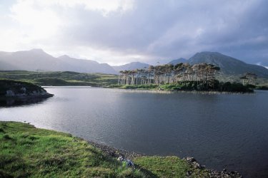 Paysage du Connemara - H.Fougère - Iconotec
