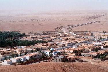 Oasis de Chebika. - Author's Image