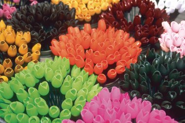 Bloemenmarkt propose même des fleurs en plastique ! Author's Image