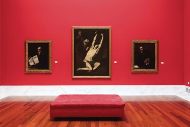 Musée des Beaux-Arts. - Philippe GUERSAN - Author's Image