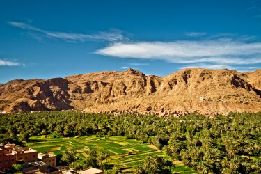 oasis de tineghir dans les Gorges du Todra. - streetflash - Shutterstock.com