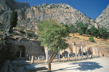 Agora romaine du sanctuaire d'Apollon. - Author's Image