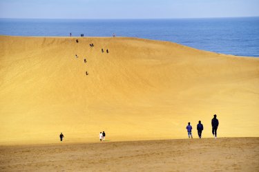 Les dunes de Tottori. - shutterstock.com-shutteroly