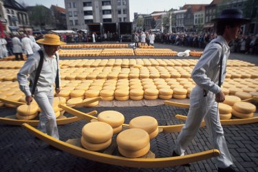 La foire aux fromages d'Alkmaar attire du beau monde. - H.Fougère - Iconotec