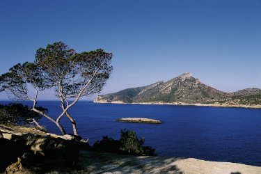 L'île de Sa Dragonera classée parc naturel. - Hervé Bernard - Iconotec