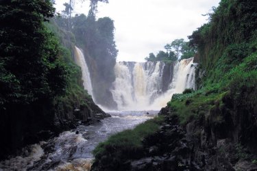 Chutes de Kongou. - Bernadette VOISIN
