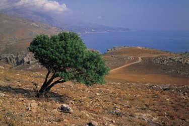 Vue sur la côte depuis Préveli. - Tom Pepeira - Iconotec