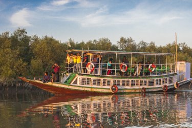 Sunderbans. - NOWAK LUKASZ - Shutterstock.com