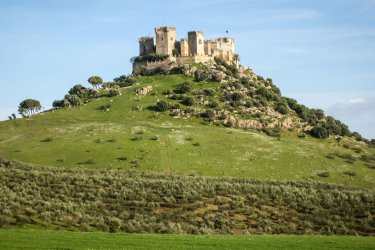 Castillo d'Almodóvar del Río. - siete_vidas - Shutterstock.com