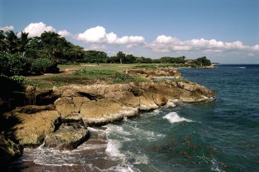 Golf de Casa de Campo. - Author's Image