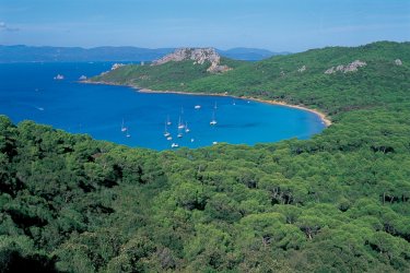 PROVENCE : Crique sur l'île de Porquerolles - HUGO CANABI - ICONOTEC