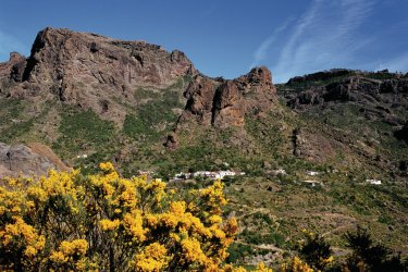 Route d'Ayacata. - Author's Image