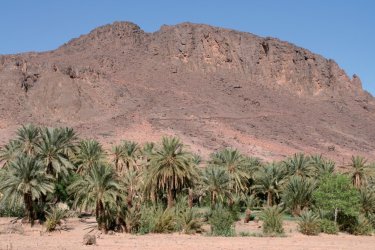 Oasis de Fint. - Stéphan SZEREMETA