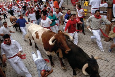 Encierro lors des Sanfermines de Pampelune. - edStock - iStockphoto.com