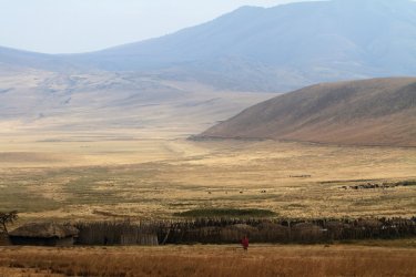 Paysage de l'aire de conservation du Ngorongoro - Stephan SZEREMETA
