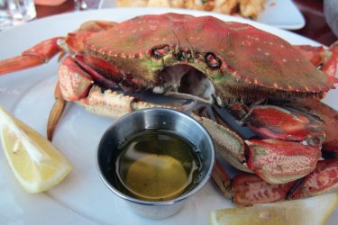 Crabe Dungeness, au menu des restaurants de Vancouver. - Stéphan SZEREMETA