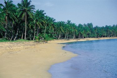 Plage de Sánchez. - Sir Pengallan - Iconotec