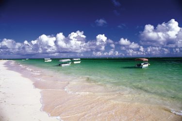 Playa Bavaro, longue plage bordée de cocotiers. - Author's Image