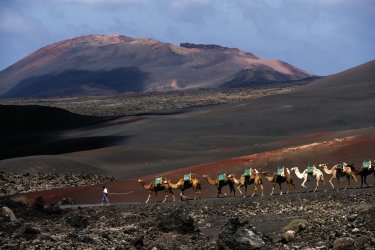 Parc national de Timanfaya. - Author's Image
