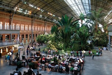 Gare d'Atocha, café et jardin d'hiver. Philippe GUERSAN - Author's Image