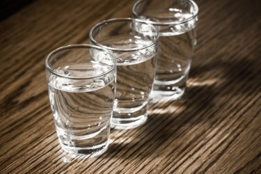 Vodka. Pawel Michalowski : Shutterstock.com