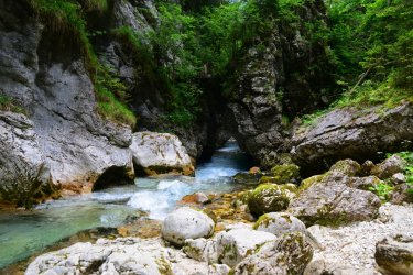 Rivière Kamniska Bistrica. - Matic Stojs - Shutterstock.com