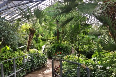 Allan Gardens Conservatory. - Valérie FORTIER
