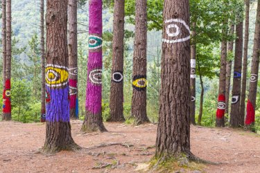 La forêt peinte d'Oma. - Noradoa - Shutterstock.com